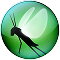 Locust